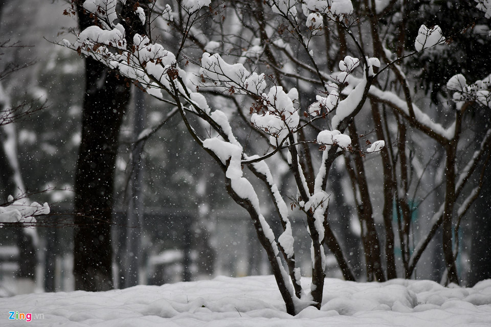 Hàng nghìn ôtô ở Thường Châu bị tuyết phủ nhiều ngày